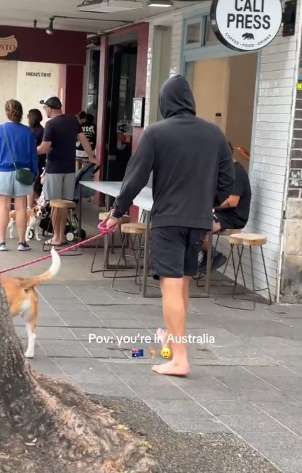 A man walking a dog on a leash in Australia, sparking conversation and concern among tourists