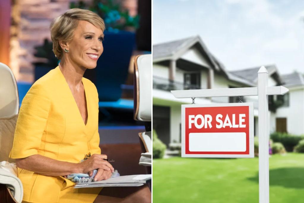 Real estate guru Barbara Corcoran predicts falling mortgage rates could make housing market 'go ballistic'