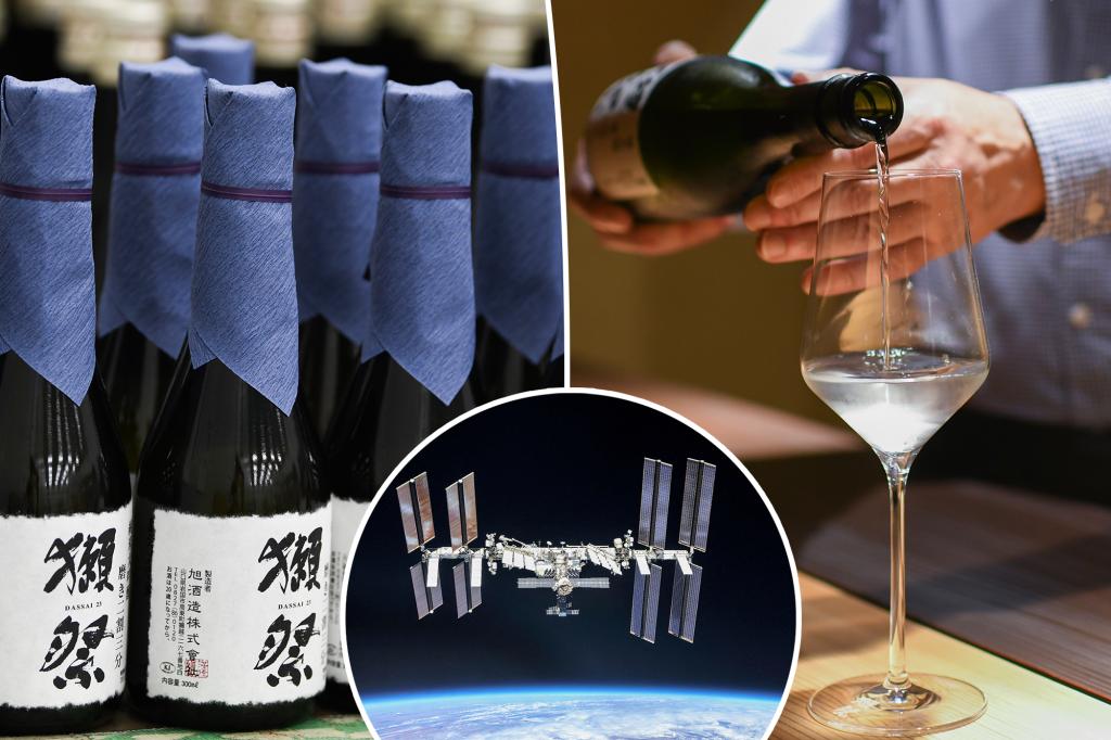 Space to soon land on your dinner table - and the price is astronomical